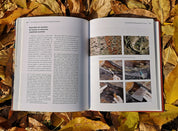 Arbore: istorie, artă, restaurare