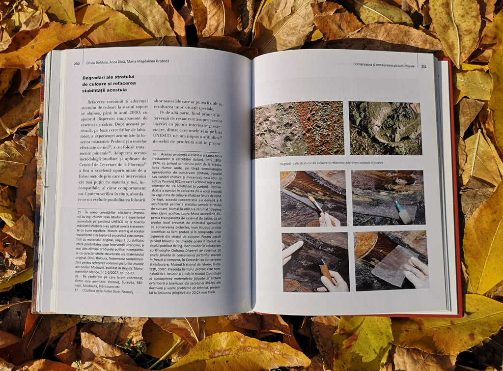 Arbore: istorie, artă, restaurare