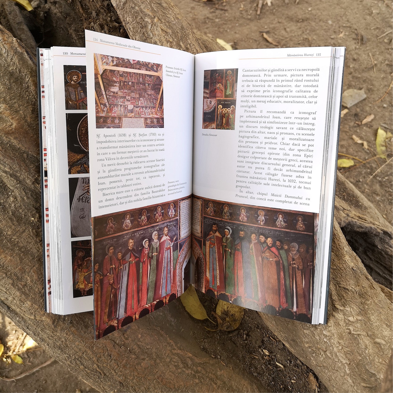 Monumente Medievale din Oltenia