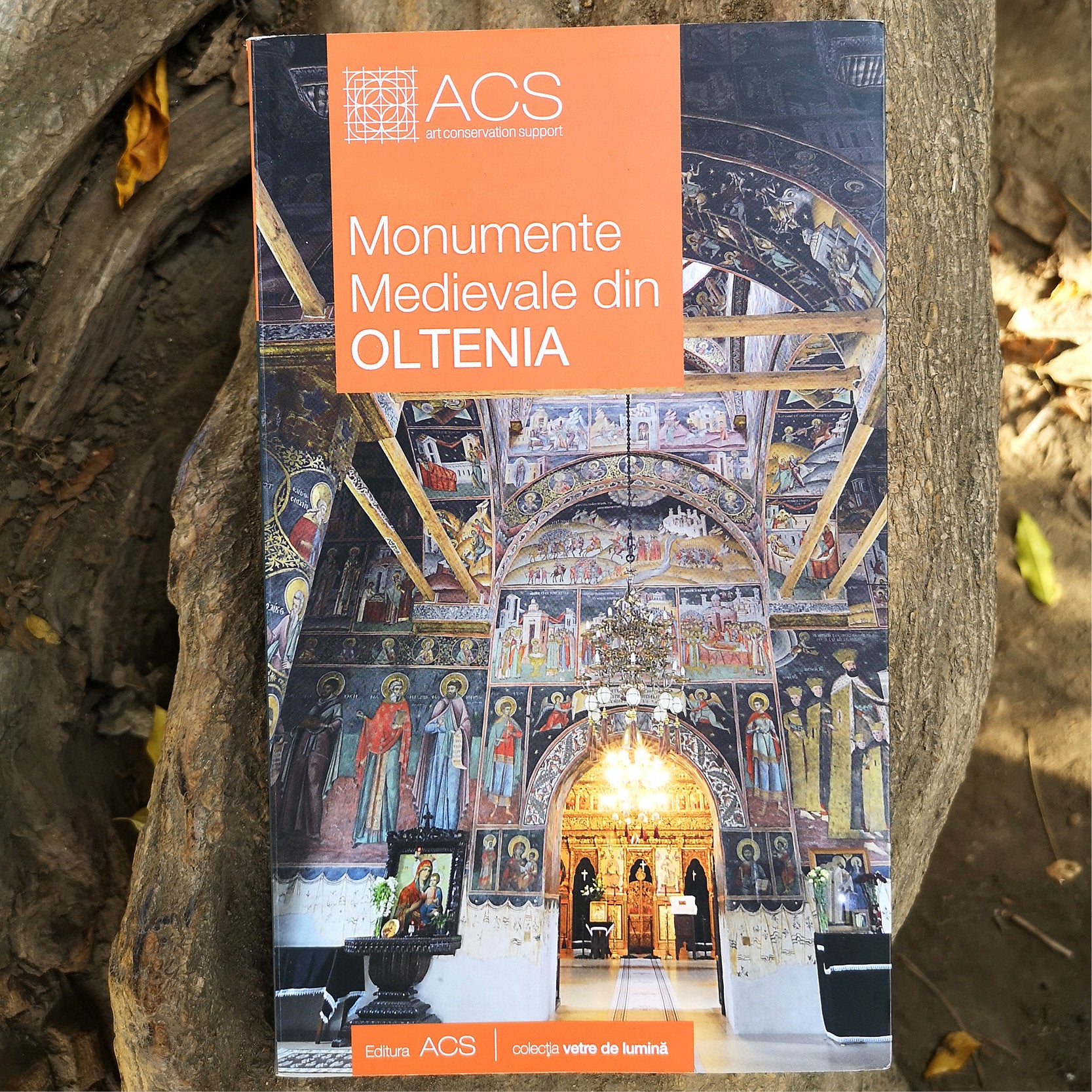 Monumente Medievale din Oltenia