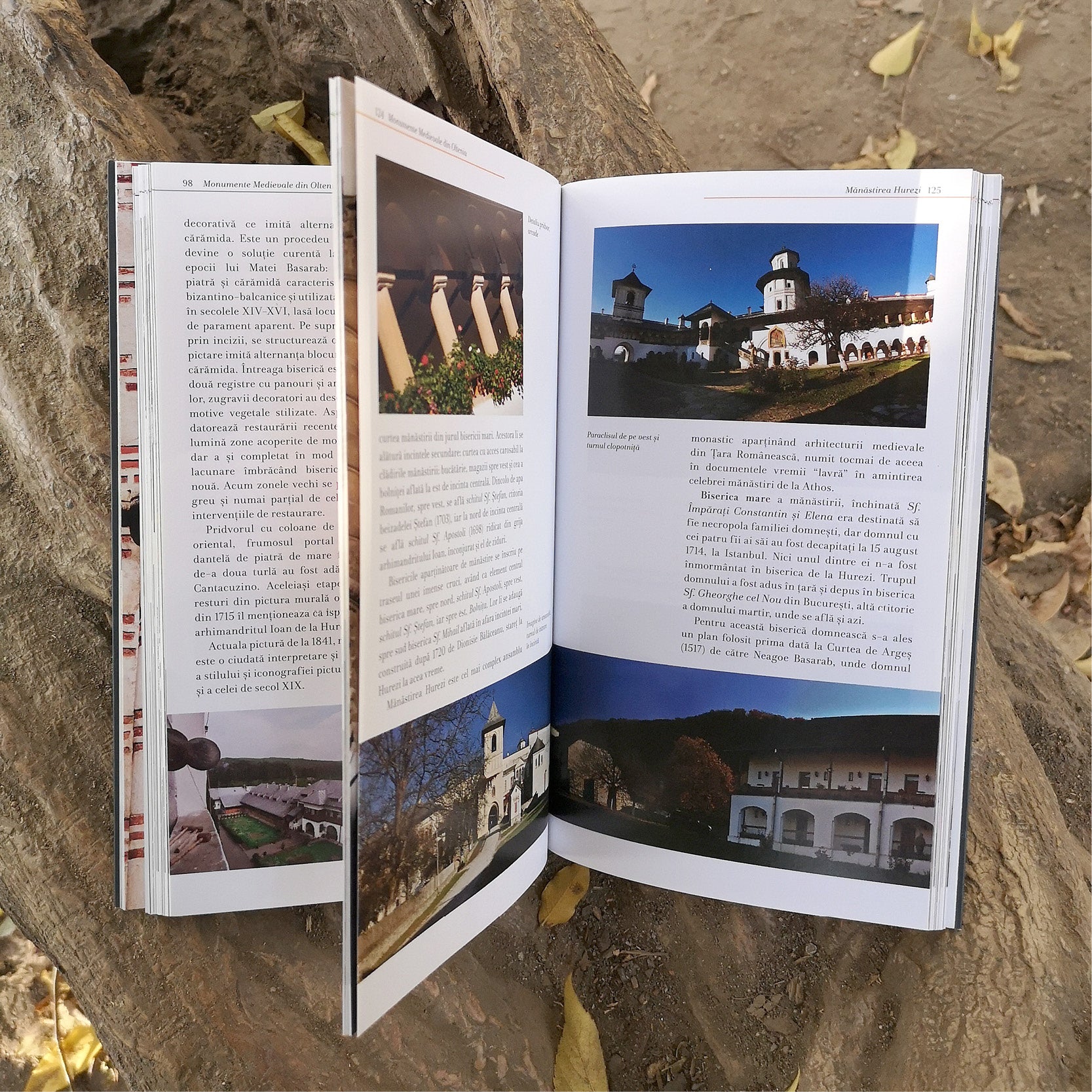 Monumente Medievale din Oltenia