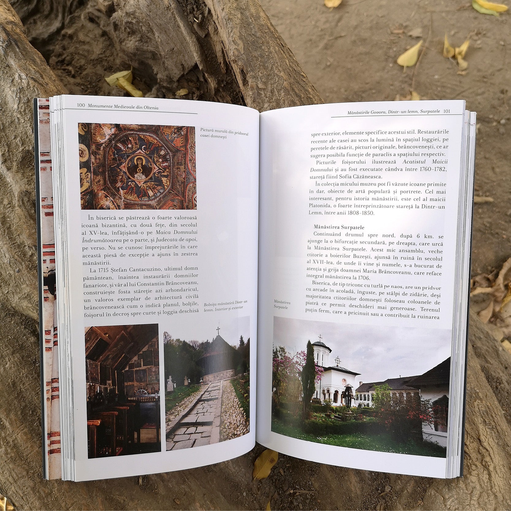 Monumente Medievale din Oltenia