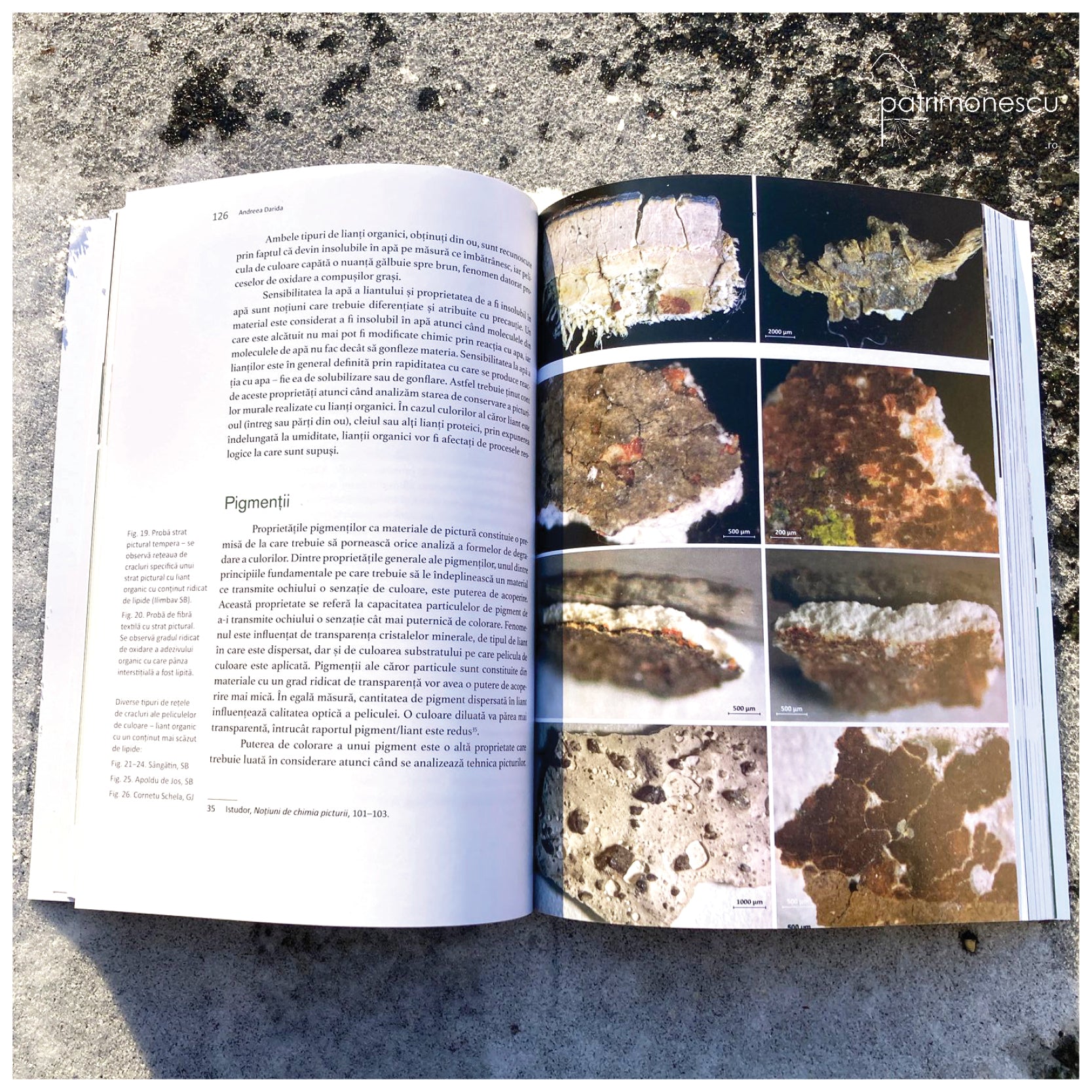 Caietele restaurării 2023