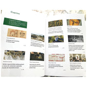 Caietele restaurării 2023