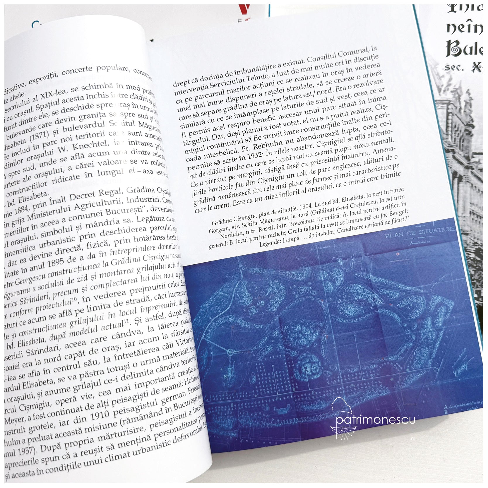 Întâmplări neîntâmplătoare pe Bulevardul Elisabeta sec. XIX-XX