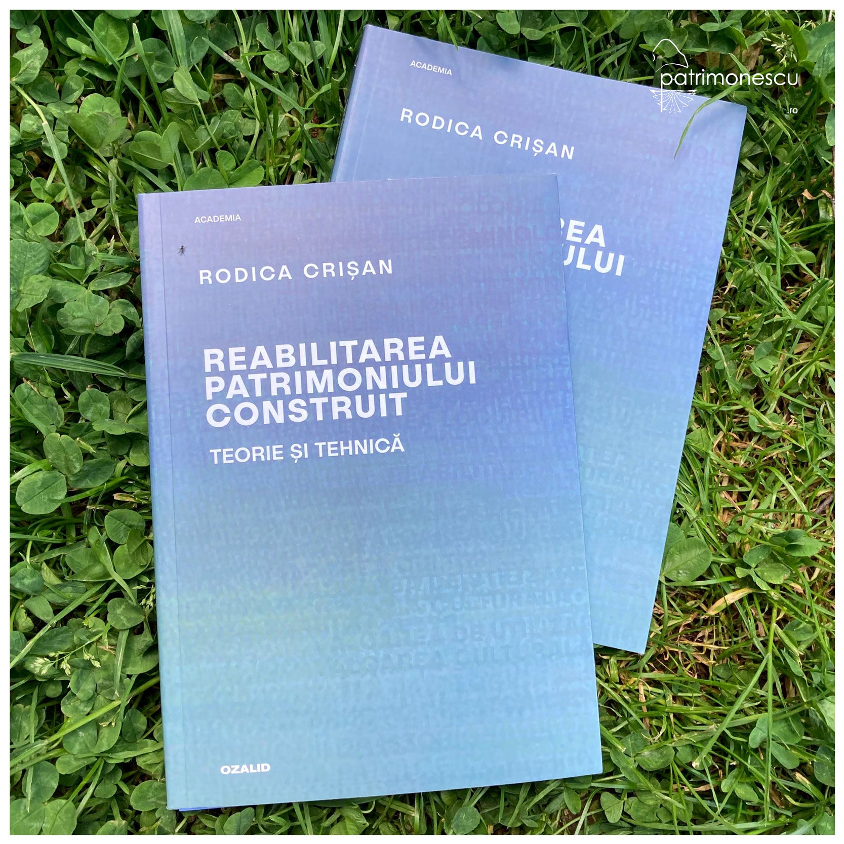 Ozalid - Academia - Rodica Crisan - Reabilitarea patrimoniului