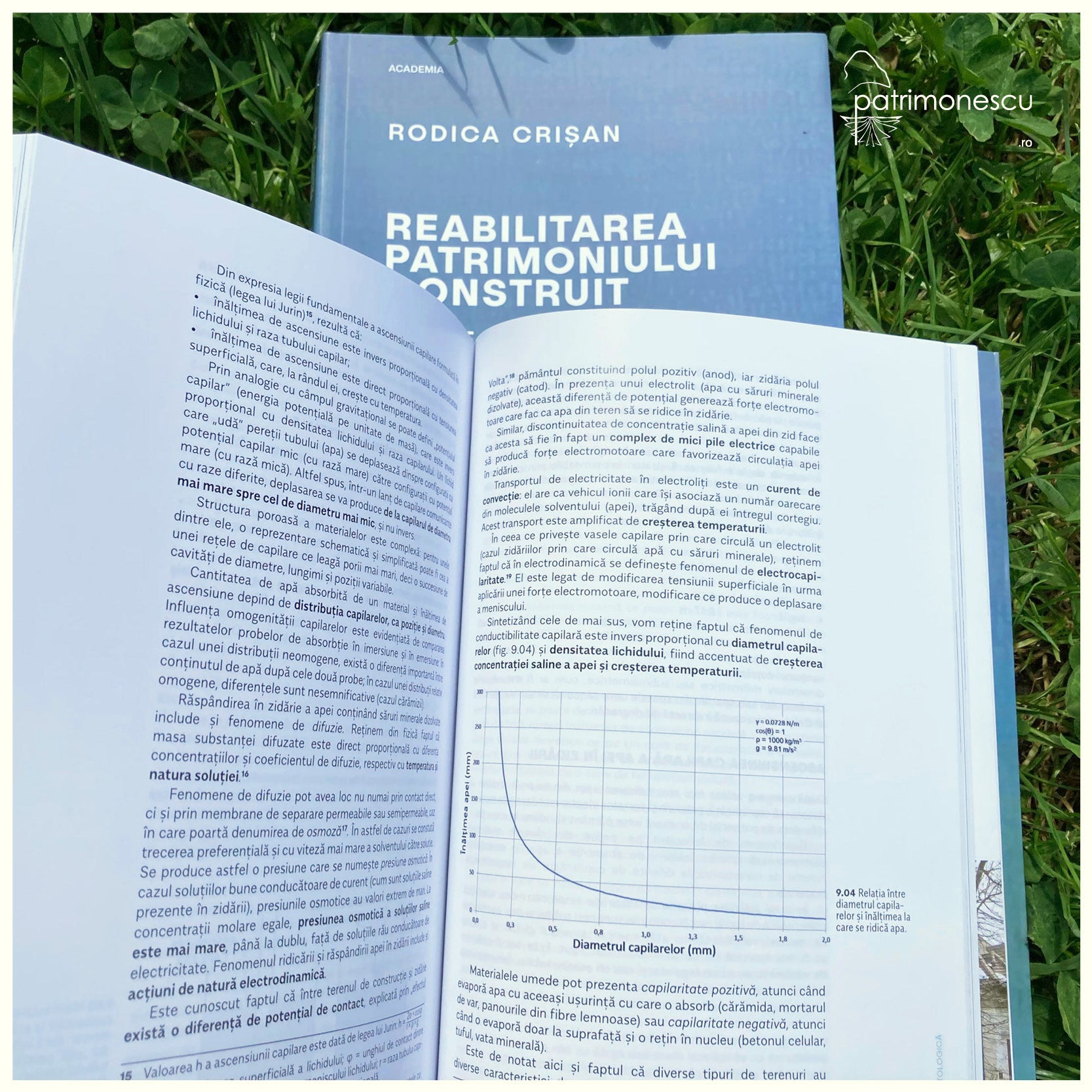 Ozalid - Academia - Rodica Crisan - Reabilitarea patrimoniului