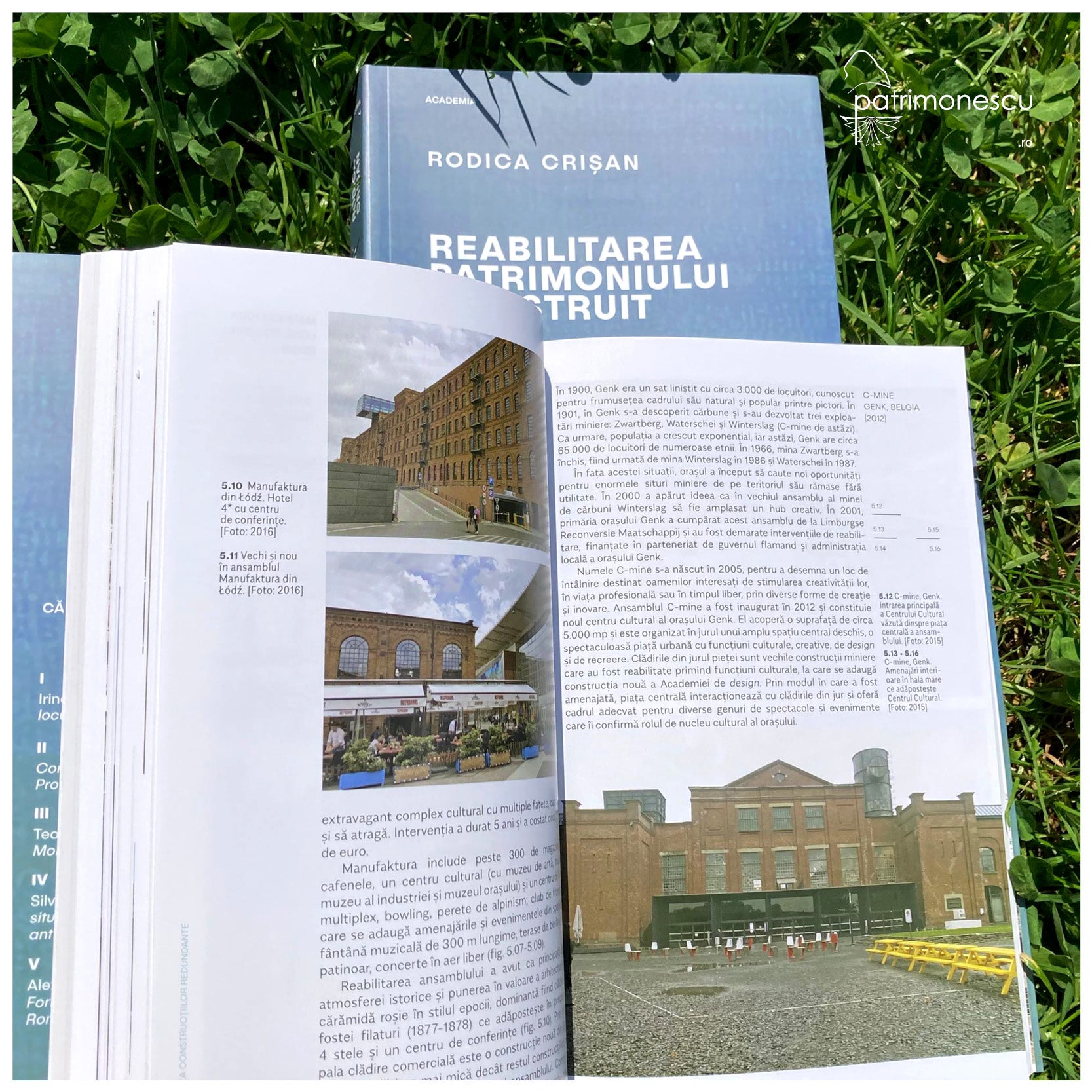 Ozalid - Academia - Rodica Crisan - Reabilitarea patrimoniului