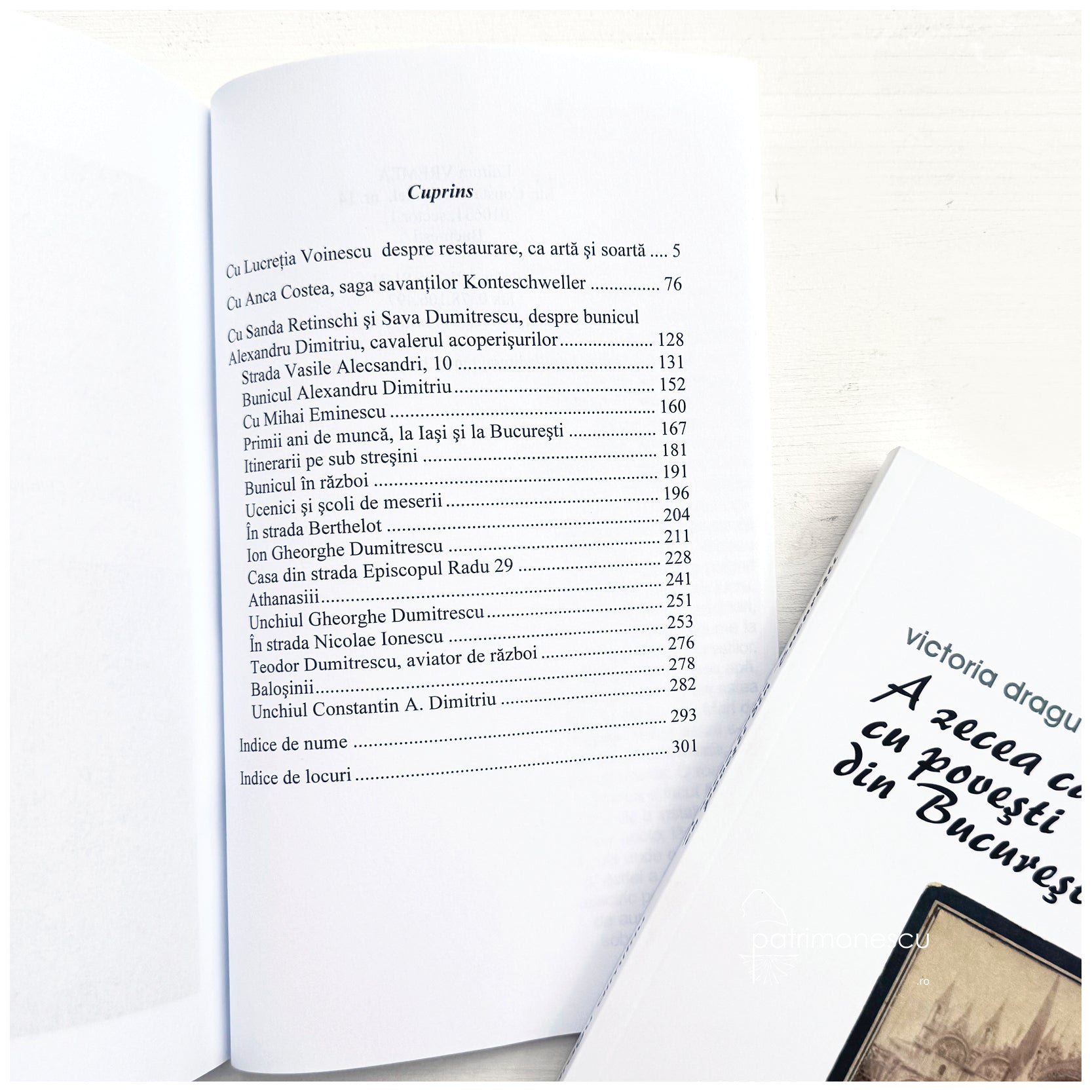 Victoriadragudumitru_azeceacarte2.jpg