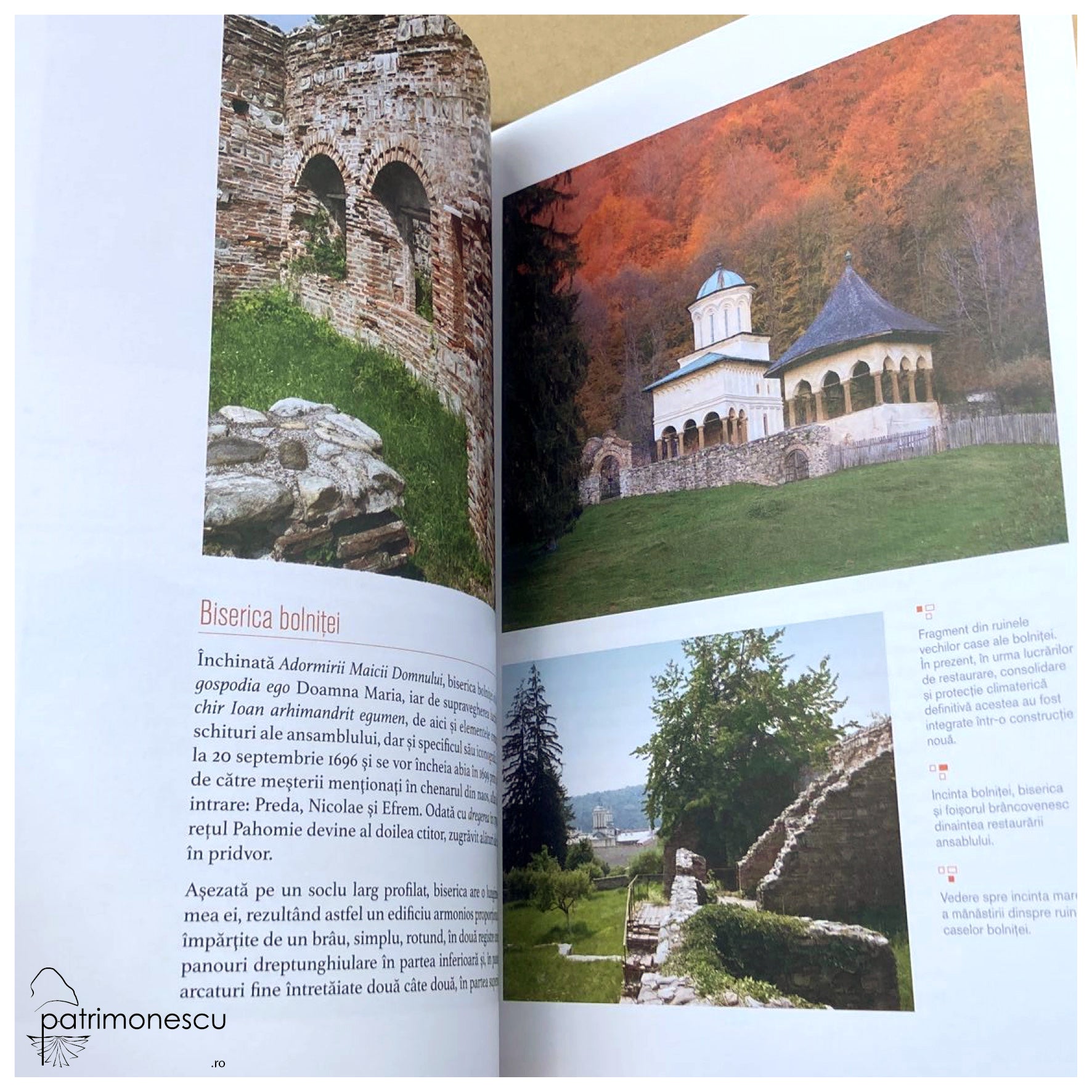 Bolnițe. Arhitectură, iconografie, istorie