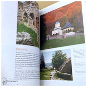 Bolnițe. Arhitectură, iconografie, istorie