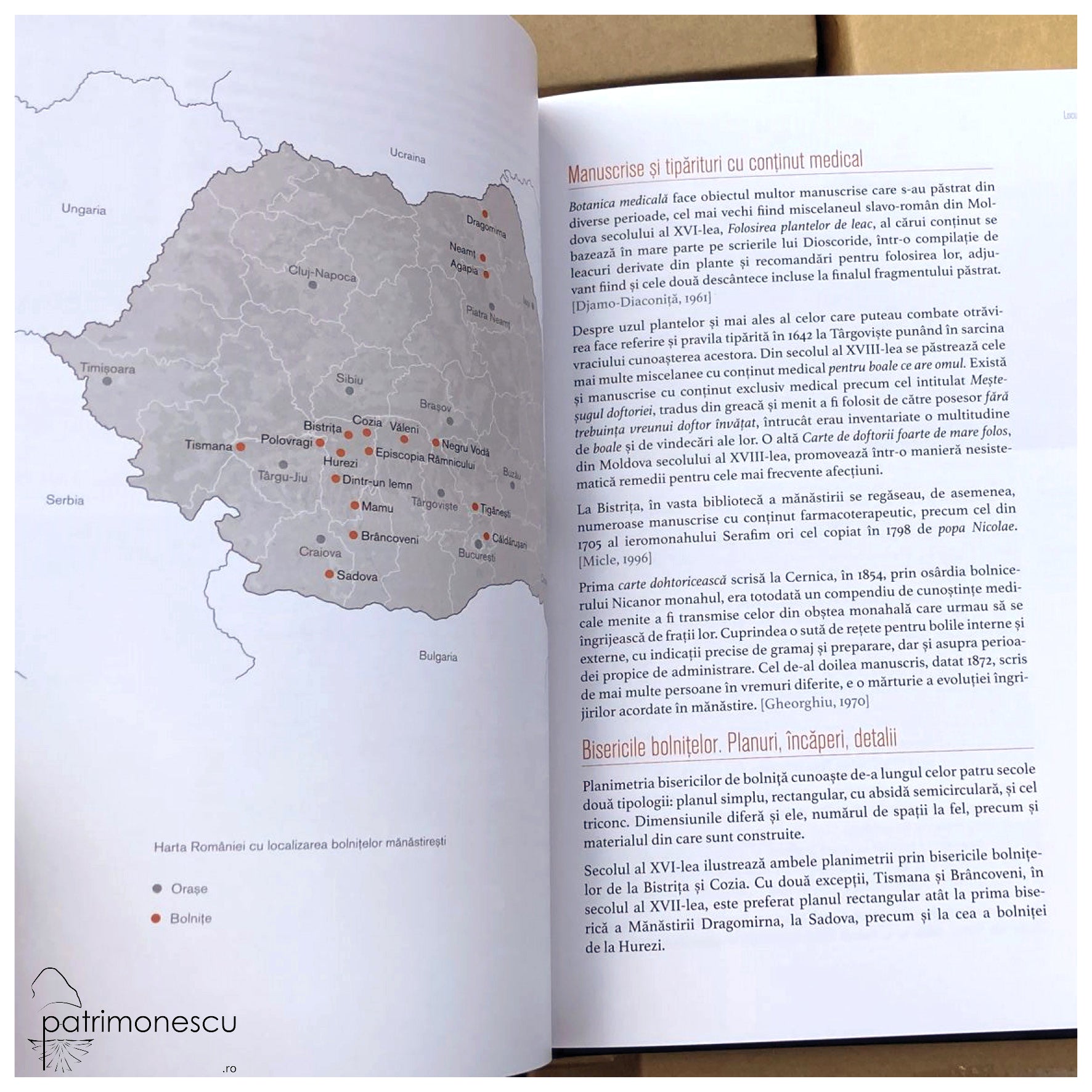 Bolnițe. Arhitectură, iconografie, istorie