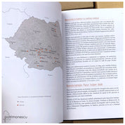 Bolnițe. Arhitectură, iconografie, istorie