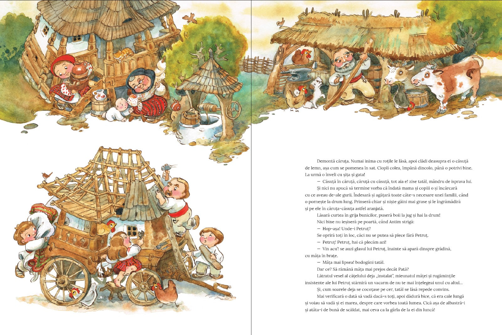 Diana Tivu Caruta - Casuta