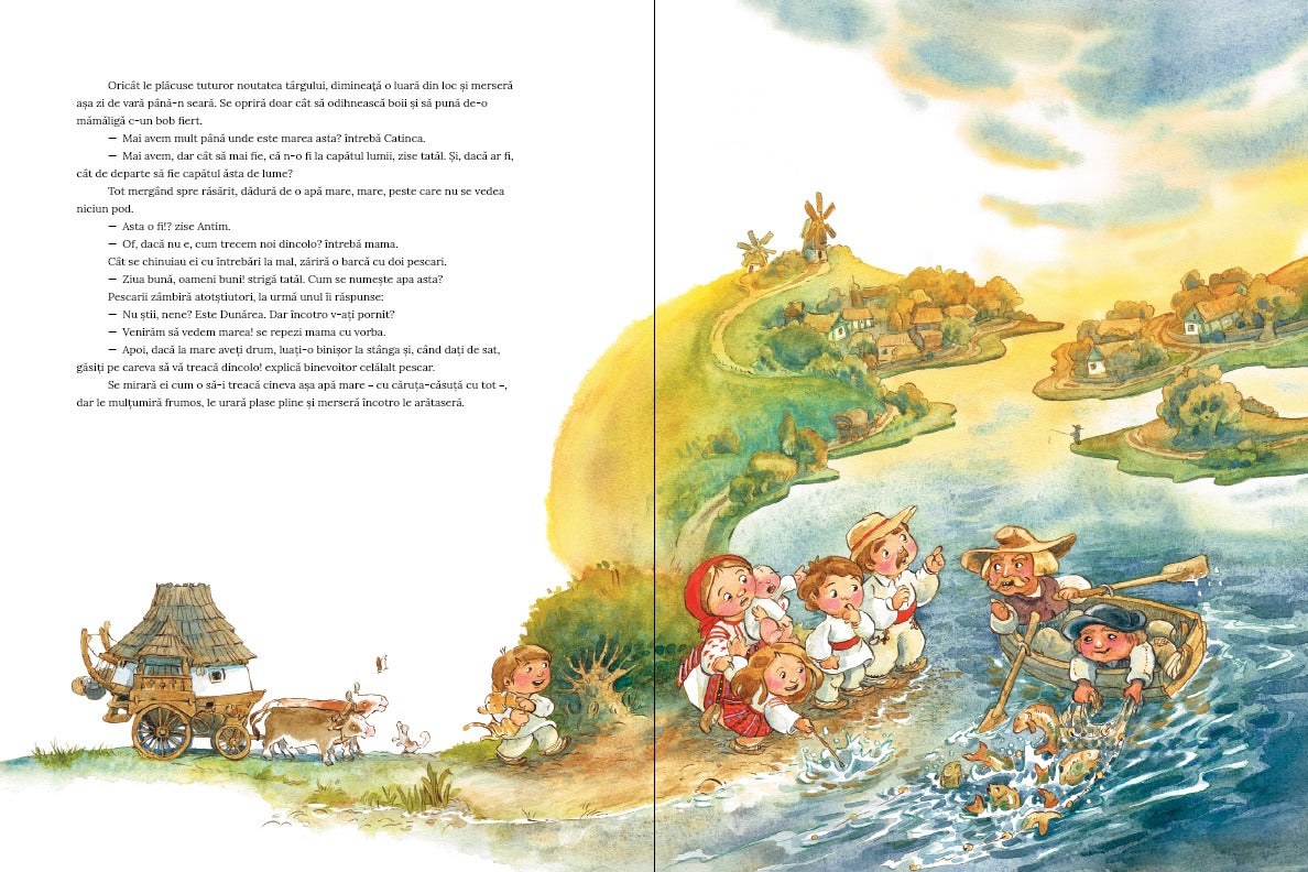 Diana Tivu Caruta - Casuta