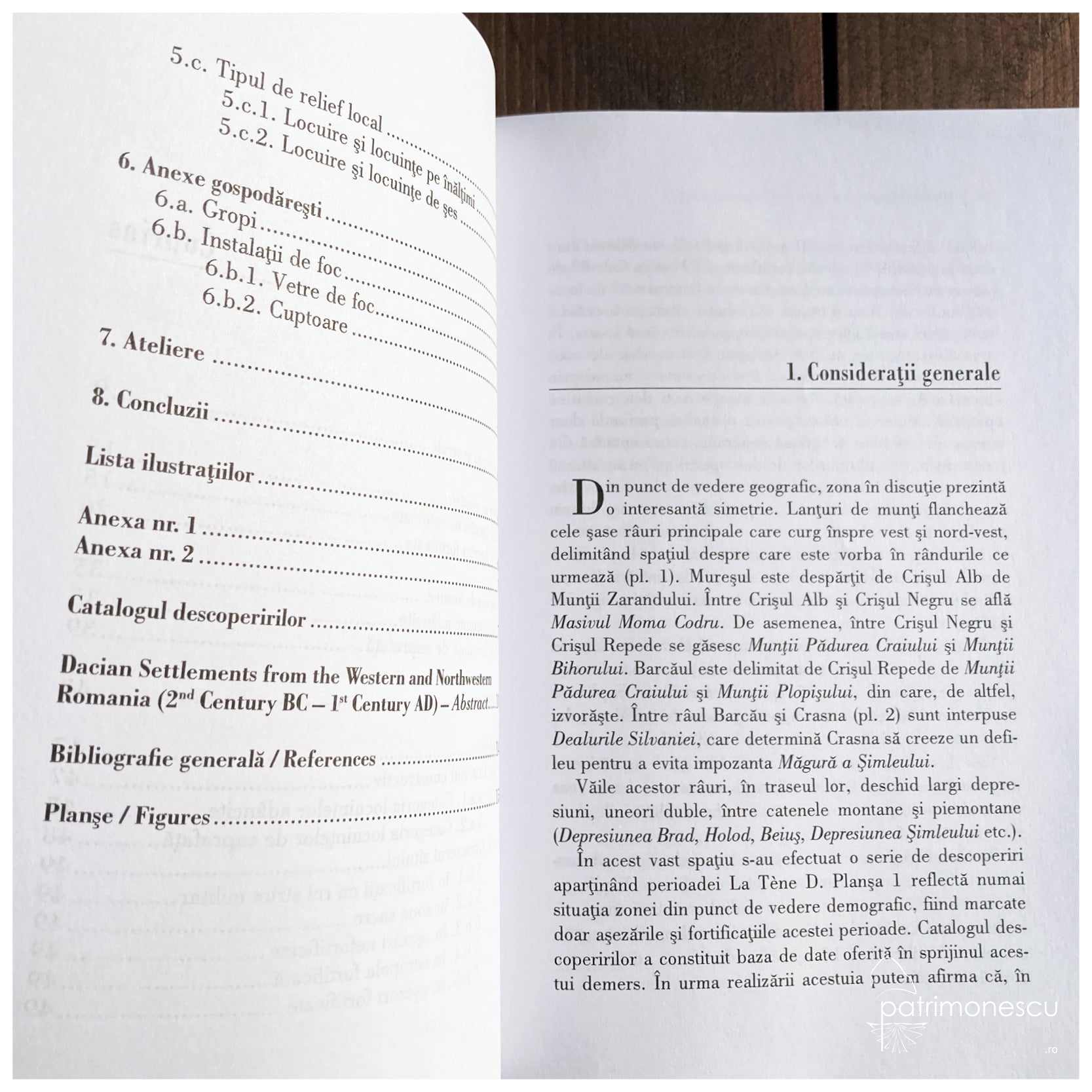 Asezari dacice in vestul si N-V României