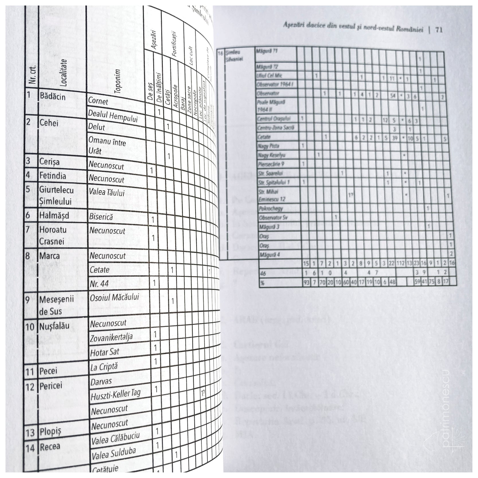 Asezari dacice in vestul si N-V României