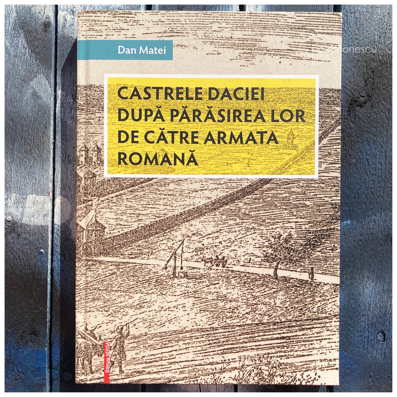 patrimonescu_Meda_CastreleDaciei.jpg
