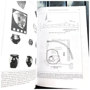 Castrele Daciei după părăsirea lor de către armata romană
