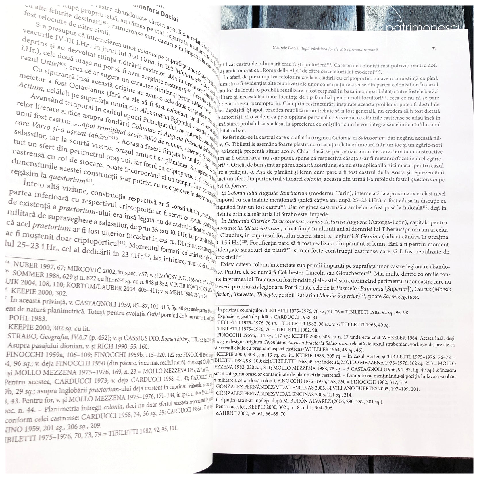 Castrele Daciei după părăsirea lor de către armata romană