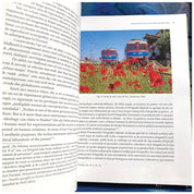 Muzeul meu. Politici culturale muzeale – expresii estetice în fotografia antropologică