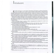 Principia din castrul legionar de la Potatisa