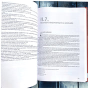 Principia din castrul legionar de la Potatisa