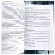 Principia din castrul legionar de la Potatisa