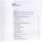 Voievodatul lui Gyula