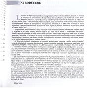 Voievodatul lui Gyula