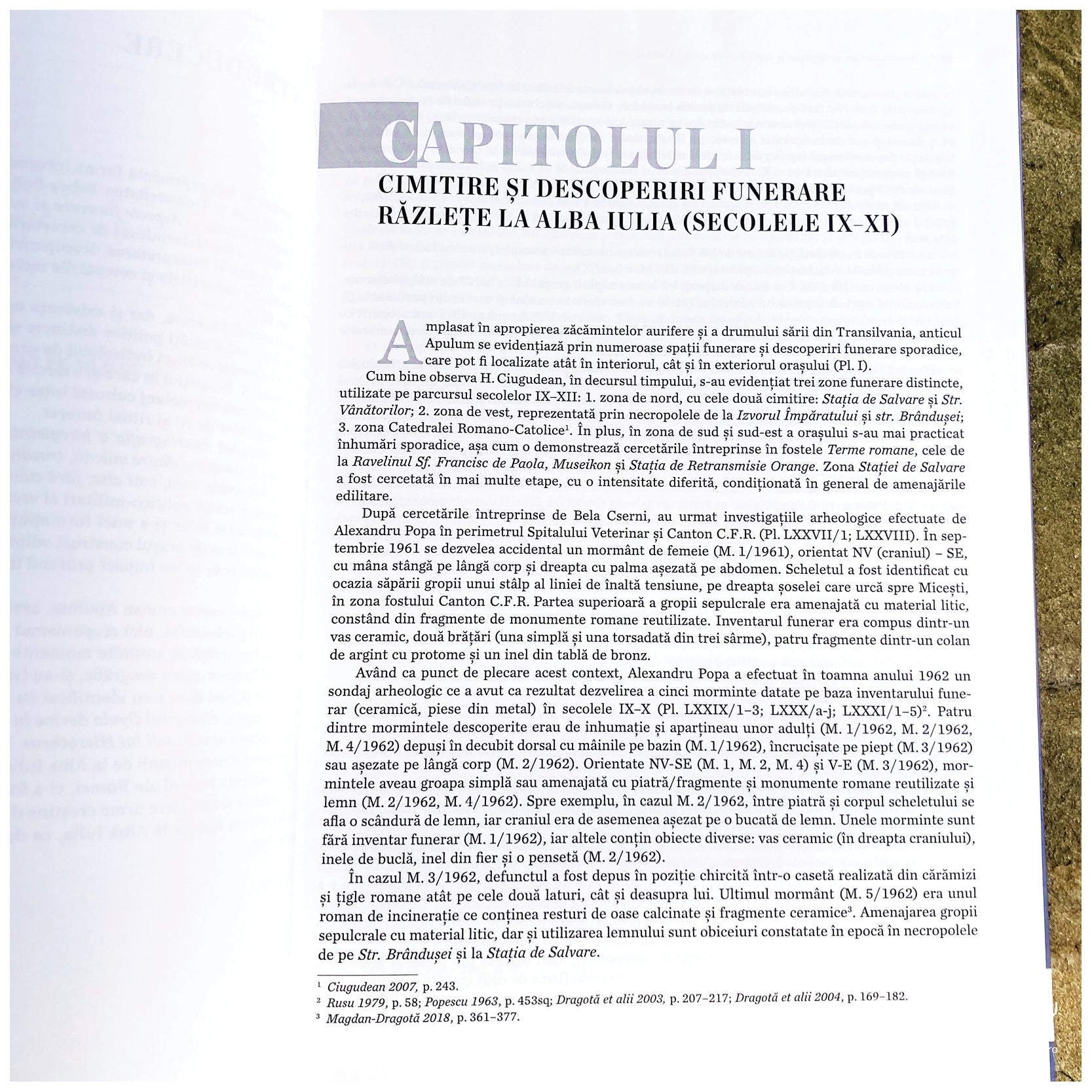 Voievodatul lui Gyula