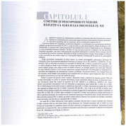 Voievodatul lui Gyula