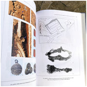 Voievodatul lui Gyula