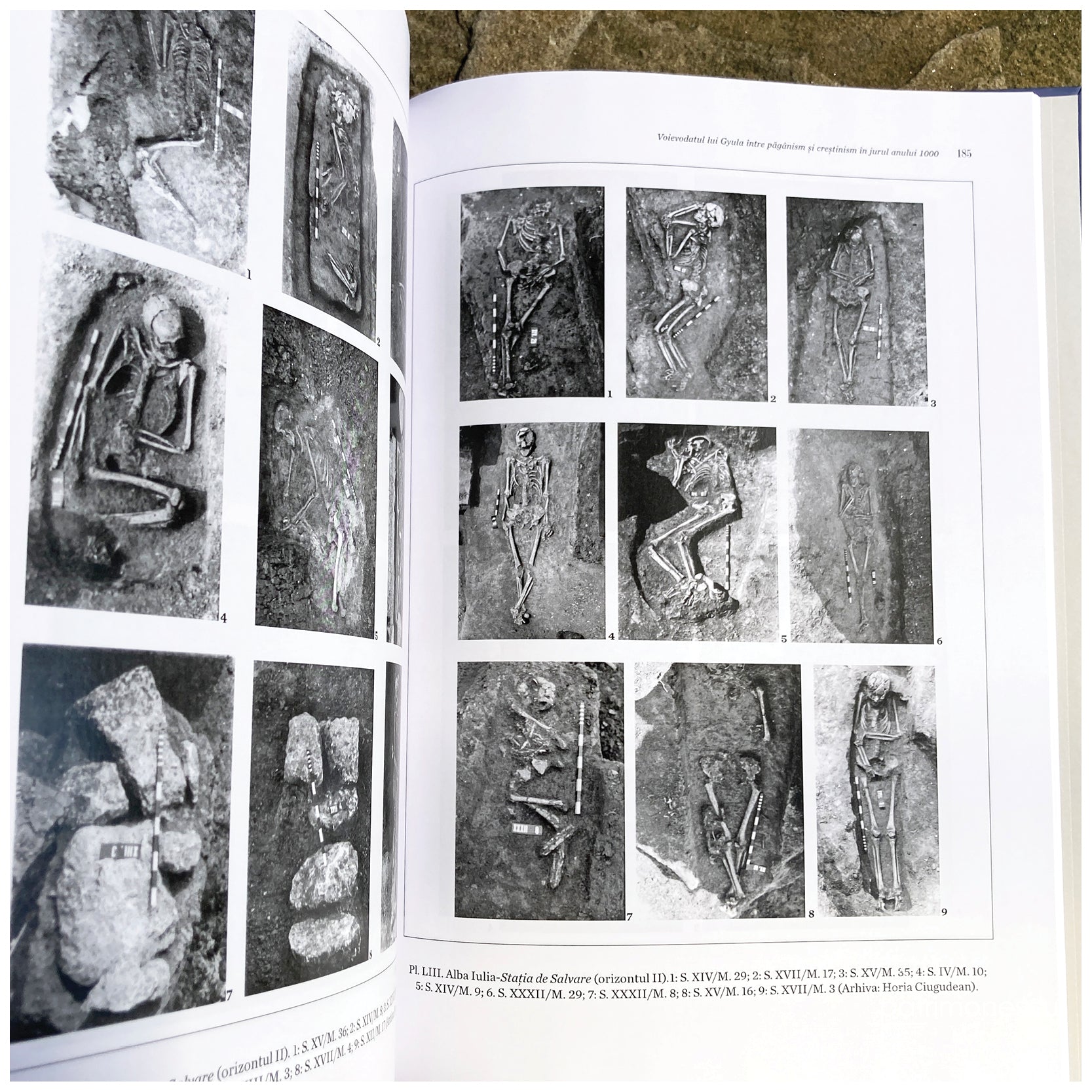 Voievodatul lui Gyula