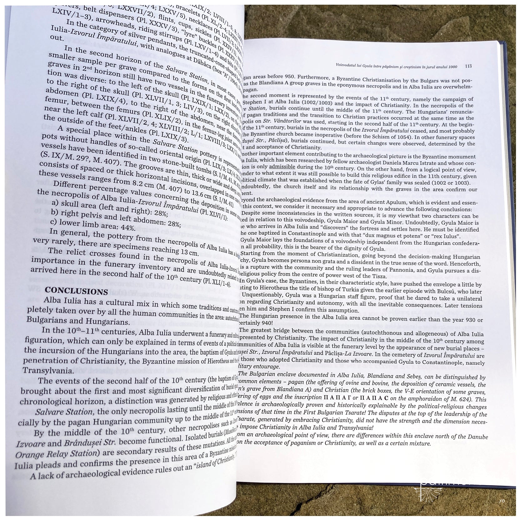 Voievodatul lui Gyula