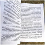 Voievodatul lui Gyula