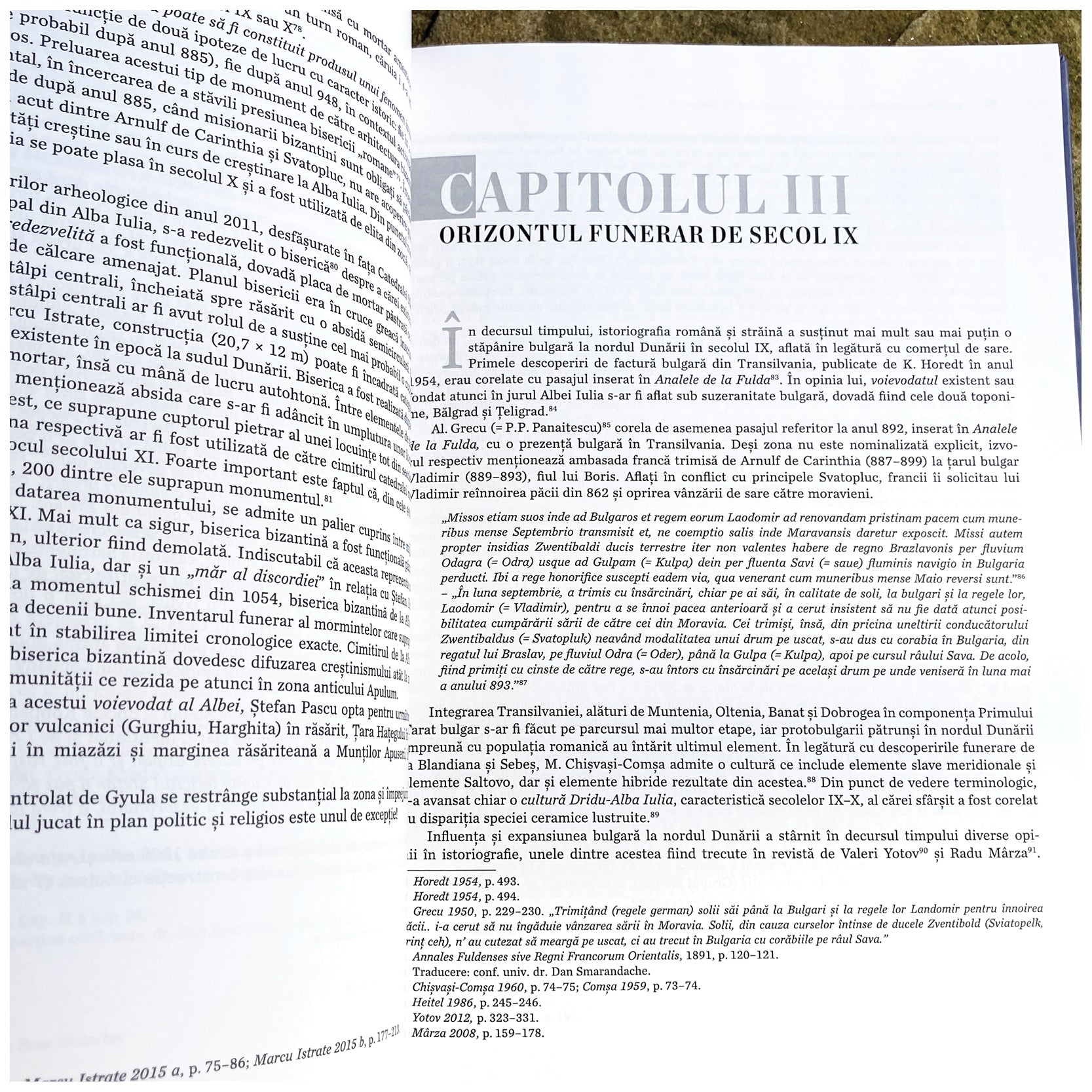 Voievodatul lui Gyula