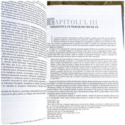 Voievodatul lui Gyula