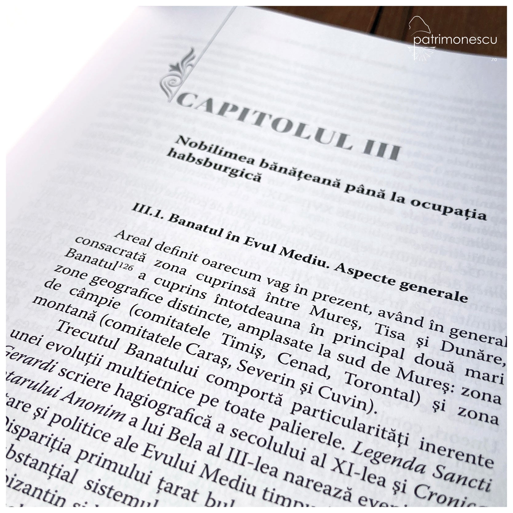 Familii nobile din Banat