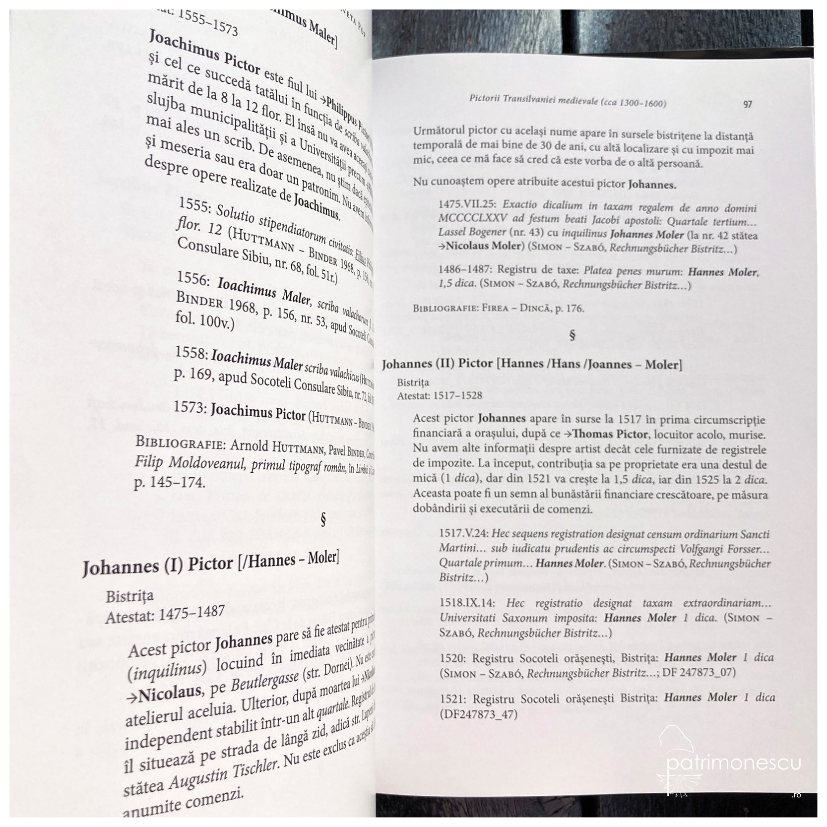 Pictorii Transilvaniei medievale (cca 1300–1600)