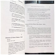 Pictorii Transilvaniei medievale (cca 1300–1600)