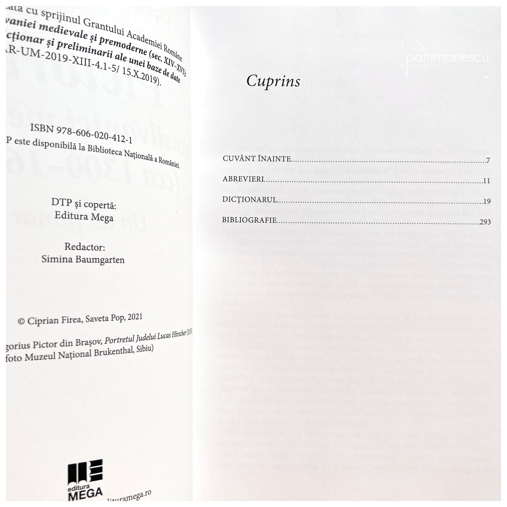 Pictorii Transilvaniei medievale (cca 1300–1600)