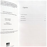 Pictorii Transilvaniei medievale (cca 1300–1600)