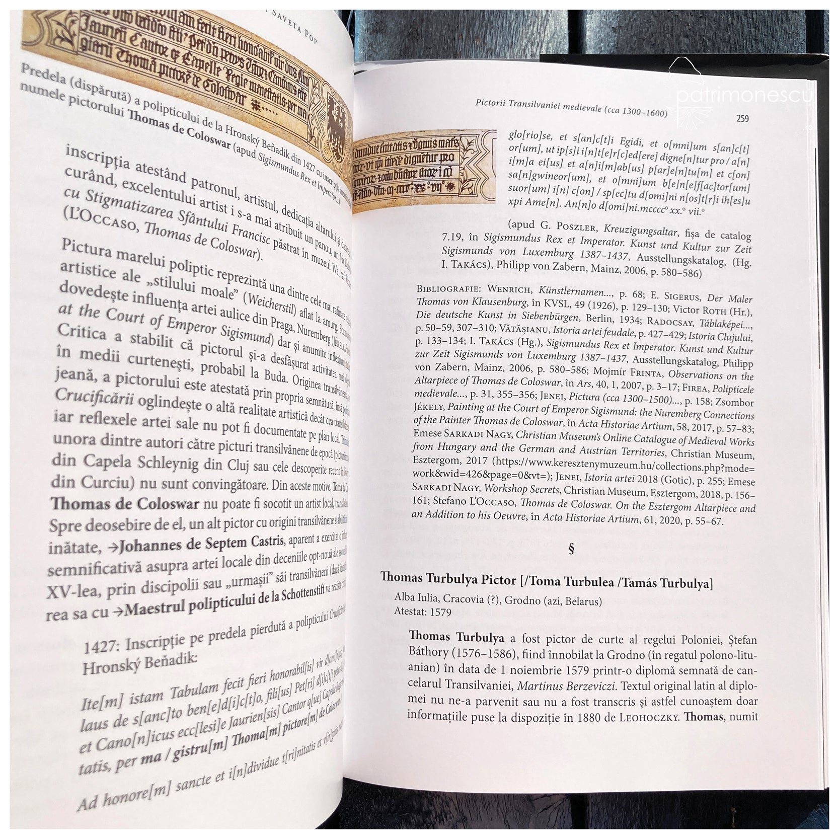 Pictorii Transilvaniei medievale (cca 1300–1600)