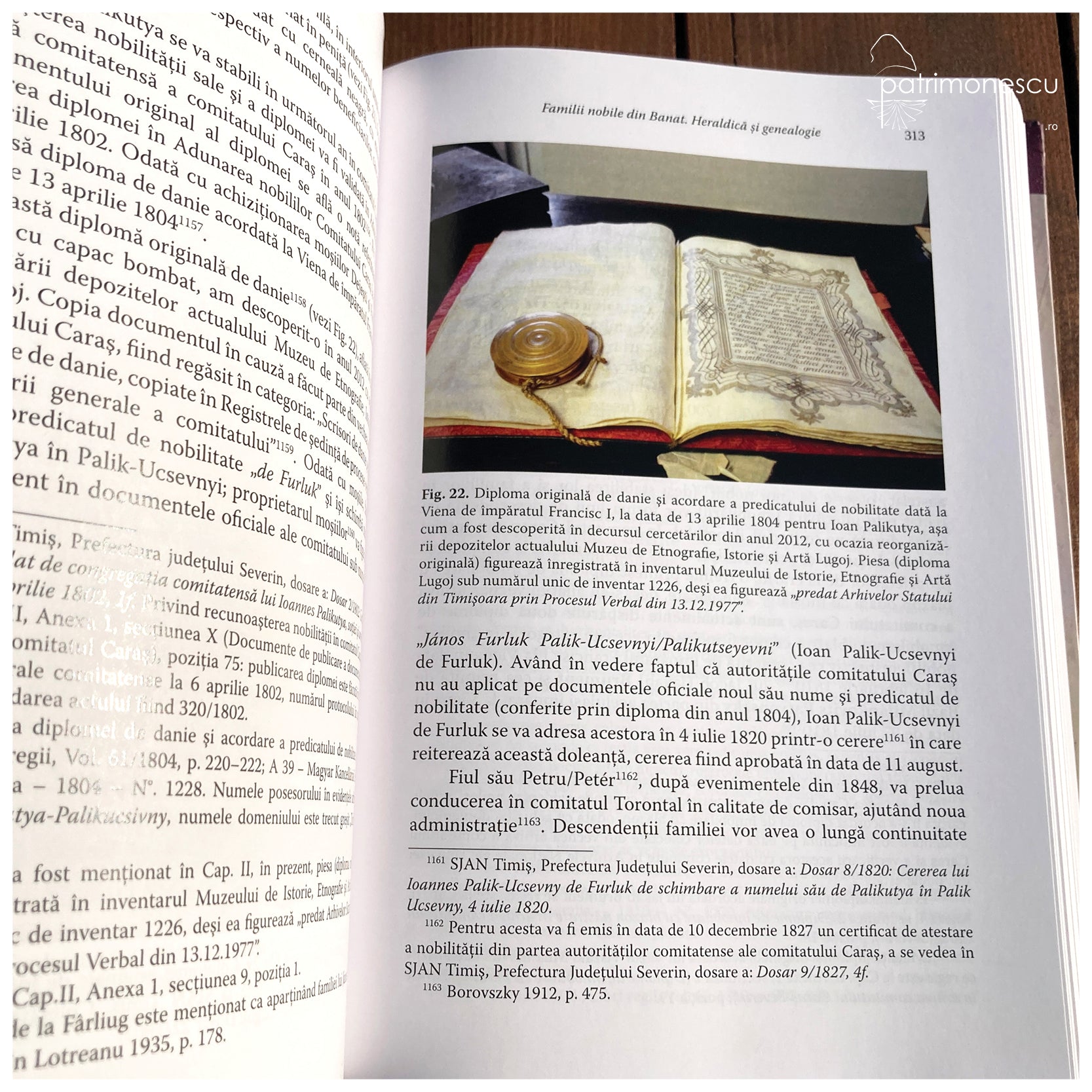 Familii nobile din Banat