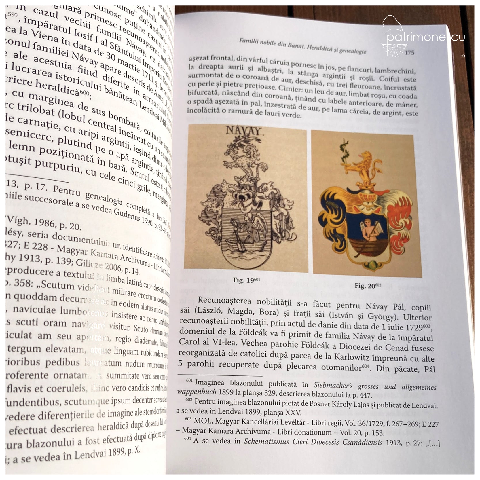 Familii nobile din Banat