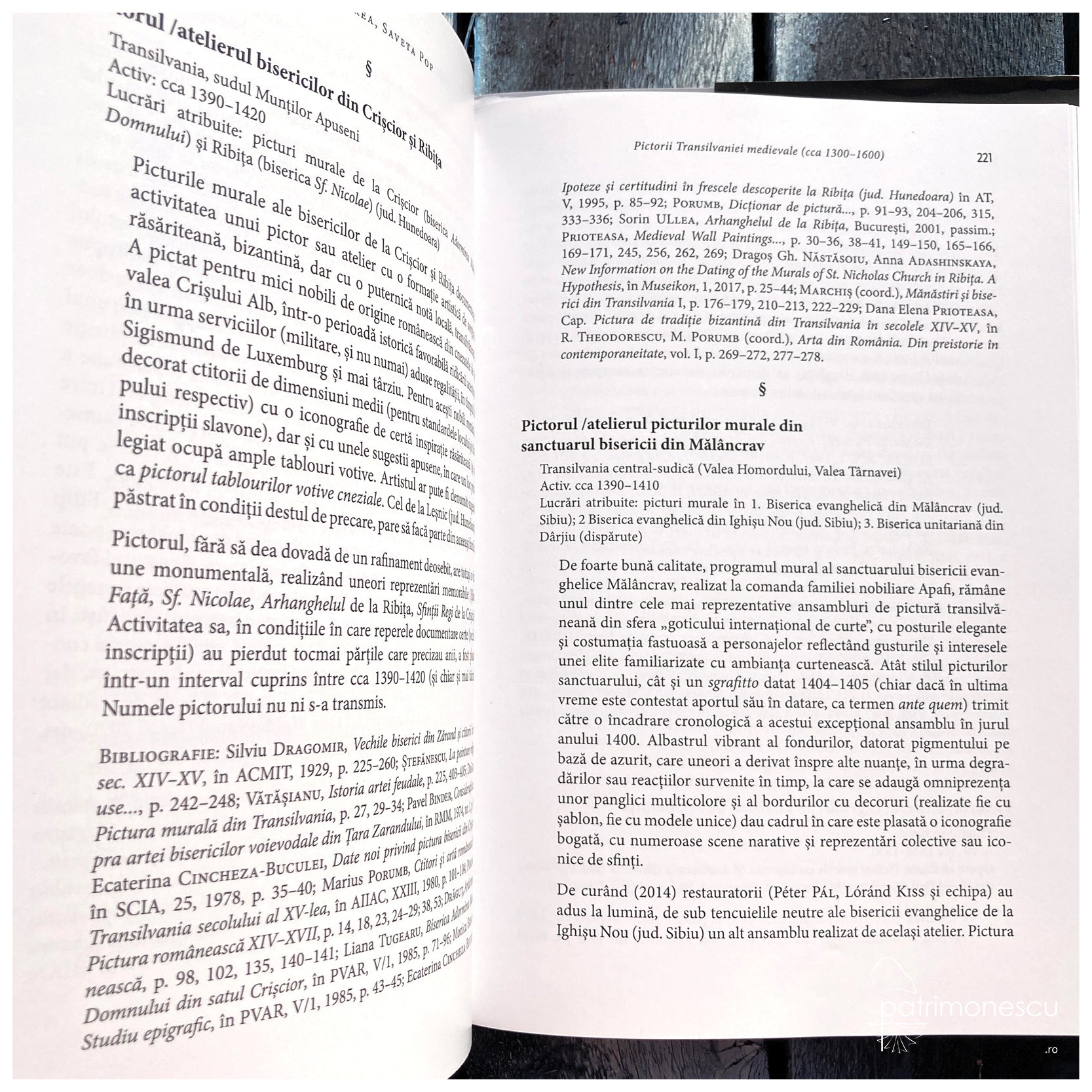 Pictorii Transilvaniei medievale (cca 1300–1600)