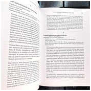 Pictorii Transilvaniei medievale (cca 1300–1600)