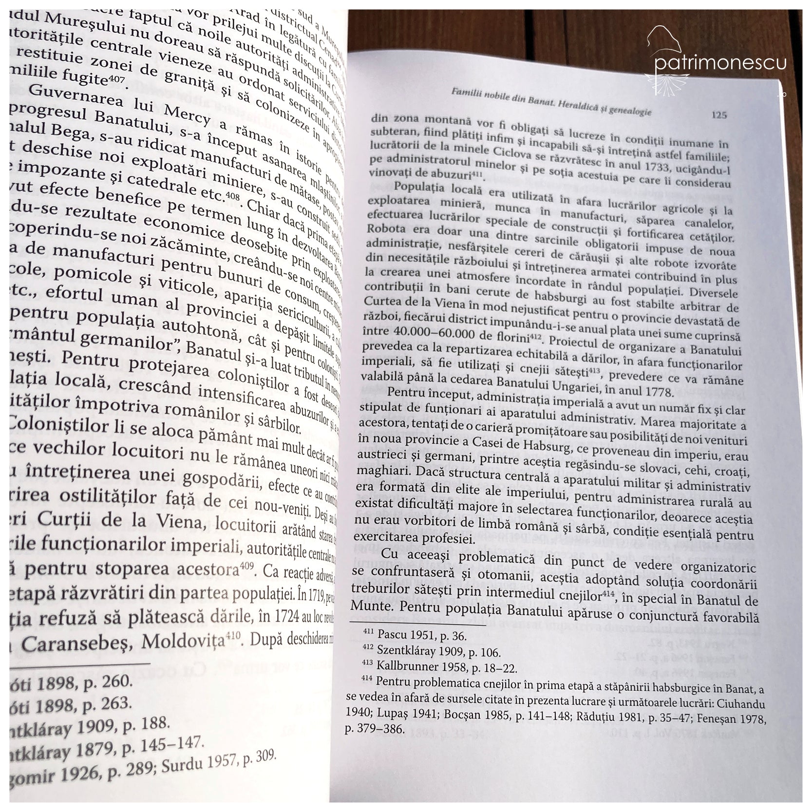 Familii nobile din Banat