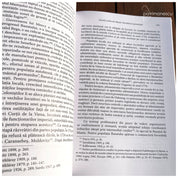 Familii nobile din Banat